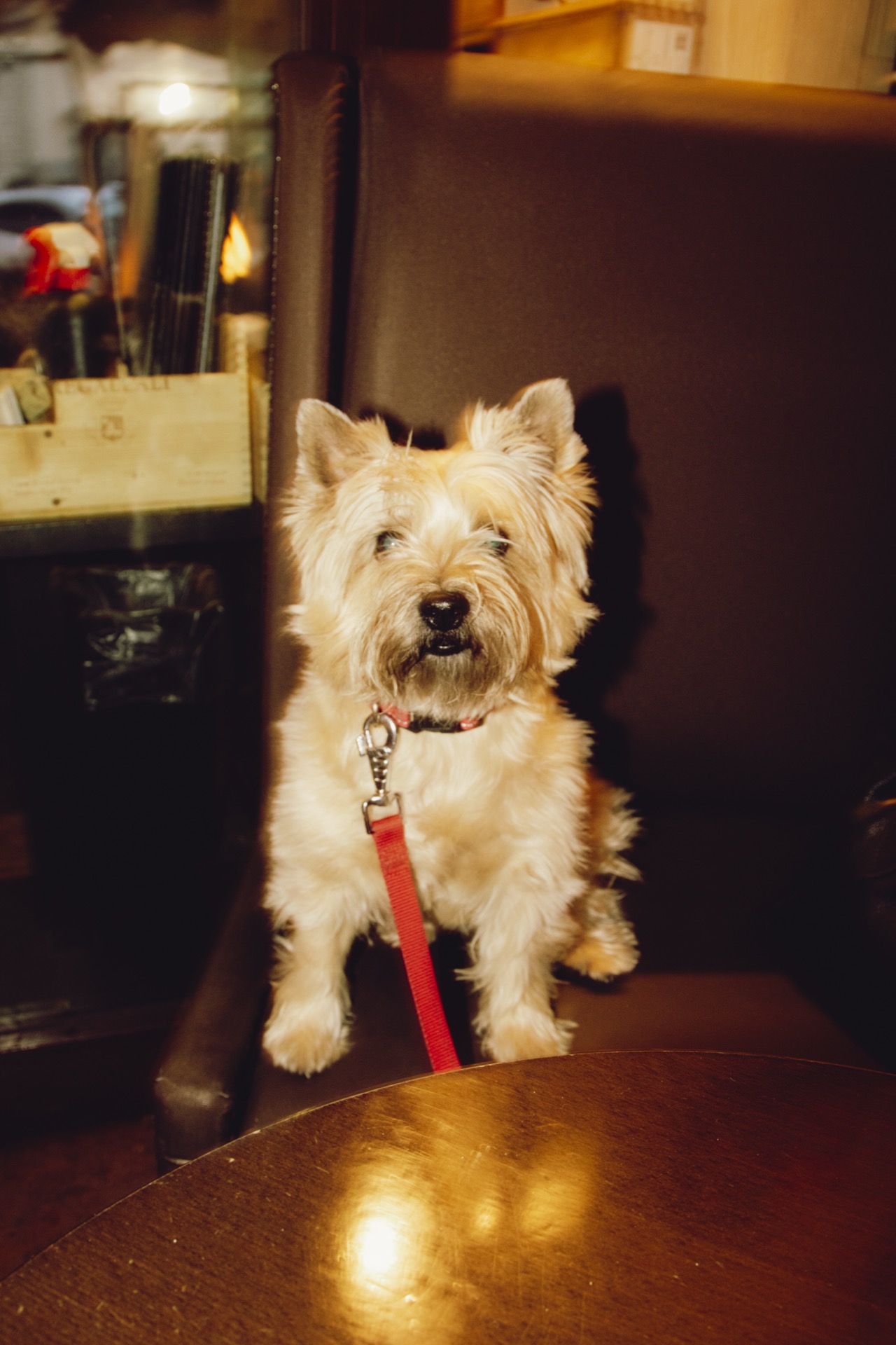 Wine Bar Image 20